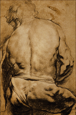 drawingdetail:  Peter Paul Rubens (1577–1640), Study of a Male
