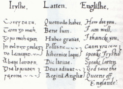 :  Irish/Latin/English phrasebook compiled for and used by Elizabeth