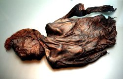  Bog bodies, which are also known as bog people, are the naturally