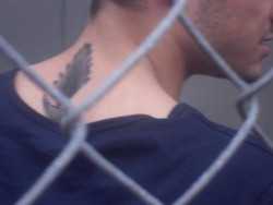  Another picture of Zayn’s new tattoo 
