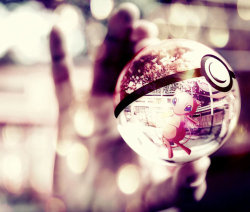 tokiwomodoshite:  Mew pokeball by =jonathanjo