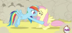 rainbowdash-likesgirls:  : reaction?   Hawt