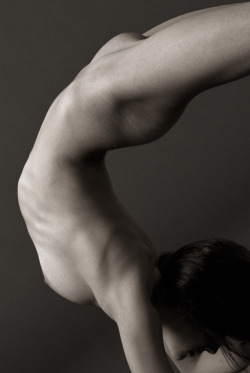 movement-and-yoga:  Torso 