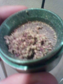 Lil bit of purple
