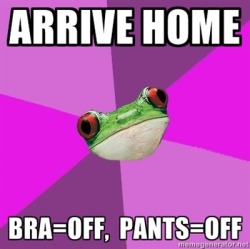 a-creative-spark:  oh god bachelorette frog is my life