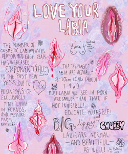 homojock:  love your labia!cosmetic labiaplasty stinks 