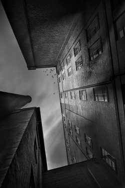 fiore-rosso:  city of shadow / holger droste. 