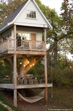 amyfaye11:  So researching tree houses I have been influenced