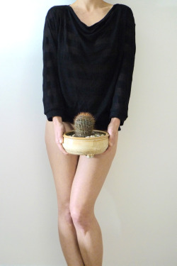 sweaterpuppies.tumblr.com/post/21776558747/