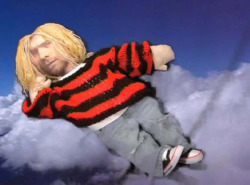 bonermarrow:  Eilis McDonald ft. Meme the Cat and Kurt Cobain