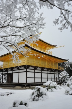  Kinkakuji temple  