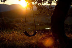 Sweet Escape