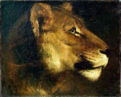bestiarionostalgico:Théodore Géricault, Head of a Lion, c 1820-21