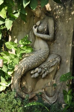 miamou:” Marble mermaid” by miamou Chiang Mai 