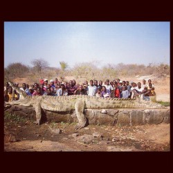 22 foot, 2500 pound croc killed in Zimbabwe. #monster #wildlife