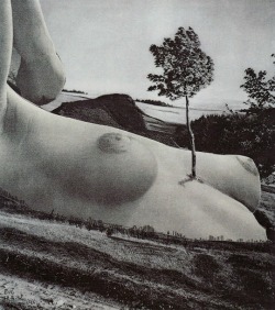  Collage 355 by Karel Teige, 1948   
