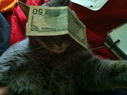  onlinehannah:  Unable to see my haters  
