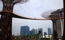 inothernews:  Singapore’s botanical attraction, Gardens By