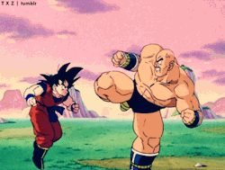 jeijiko:  Fast paced moments in DBZ are the greatest moments