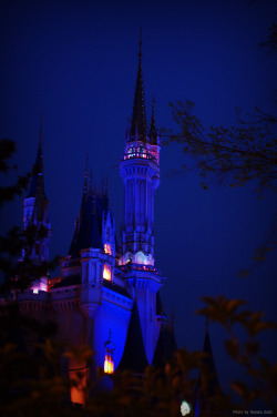saihal:  Cinderella castle. @Tokyo Disneyland.