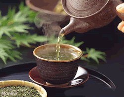 bvddhist:    16 HERBAL TEAS with Health facts to put on your
