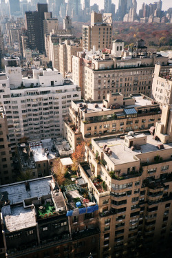 fluuf:  NYC Rooftops (Matt Martin)