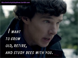 “I want to grow old, retire, and study bees with you.”