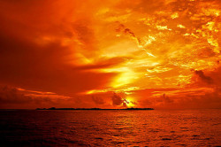 deathtosadness:  Maldivian Sunset 1 by ariflickrs on Flickr.