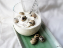 sufferbloodywhore:  http://www.rawfoodrecipes.com/recipes/chocolate-chip-cookie-dough-blizzard.html