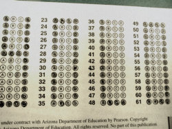 nerdassbitch:  remember when i wrote yolo on a state standardized test