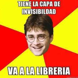 mecagaron:  Tan harry potter pa sus weas 