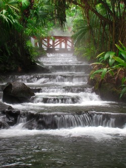 bluepueblo:  Hot Springs Waterfall, Arenal Volcano, Costa Rica