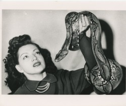burlyqnell:    News service press photo of Zorita with one of her snakes..