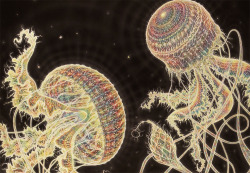 since-because-pickles:  victoriousvocabulary:  MEDUSOZOA [noun]