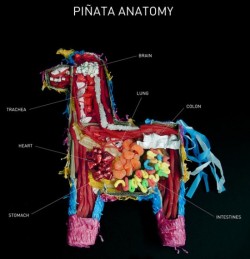 couleursmoderne:Pinata Anatomy 