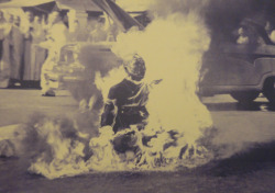 vivo-entre-tantos-muertos:     Thich Quang Duc 