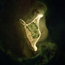 nicelyshapedislands:  Walfisch, Germany 
