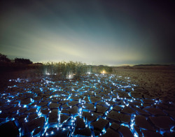 anditslove:  Photographer Lee Eunyeol constructs elaborate light
