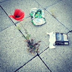 UPRISING - #architecture #flowers#cemento#rossi#red#parking#resistenza#heineken#marlboro