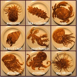 sav3mys0ul:  Pancake art 