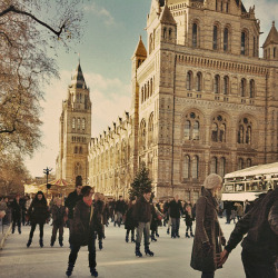 allthingseurope:  Natural History Museum in London (by Purple