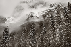 unreuve:  Winter Vista (by Harold Davis) 