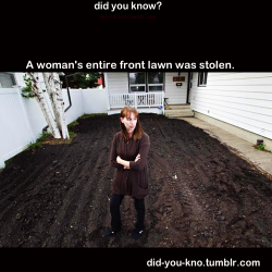 did-you-kno:  Denise Thompson had a beautiful front lawn, thick