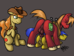 viziasnsfwreblogs:  Fun show for Braeburn.  yes yes very good