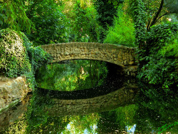 bluepueblo:  Stone Bridge, Seville, Andalusia, Spain photo via