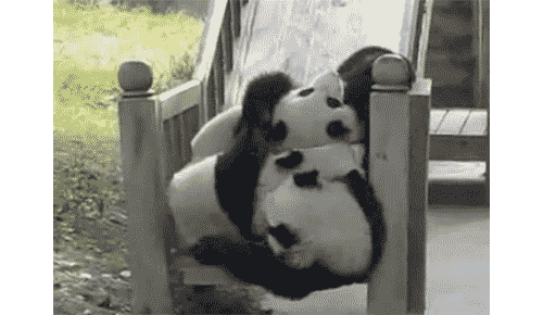fuckyeahdementia:  Panda Slide [pleatedjeans:video]