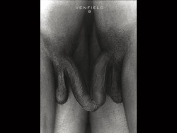 venfield8:  The KISS  ( Twins ) 2012