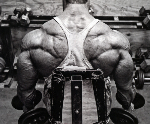 tumblr photo builddudebuild 0