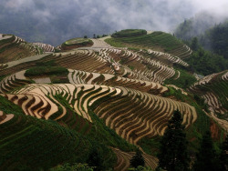 sav3mys0ul:  Longji Terraces #1 (by Further to Fly) 