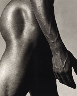  ….Robert Mapplethorpe….. 